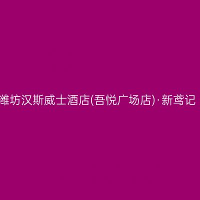 潍坊汉斯威士酒店(吾悦广场店)·新鸢记