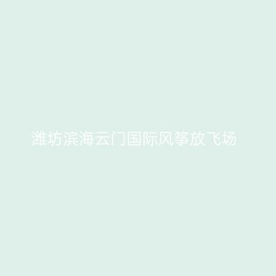 潍坊滨海云门国际风筝放飞场