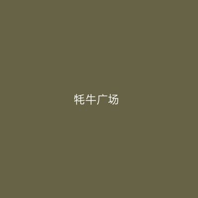 牦牛广场