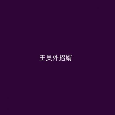 王员外招婿