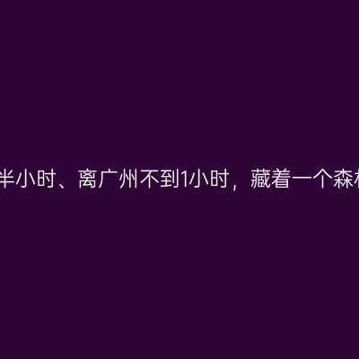 离深圳不到半小时、离广州不到1小时，藏着一个森林康养福地