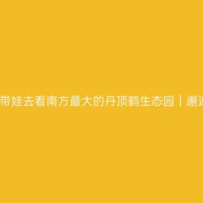 秋游肇庆，带娃去看南方最大的丹顶鹤生态园｜邂逅朗誉酒店