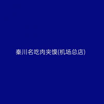 秦川名吃肉夹馍(机场总店)