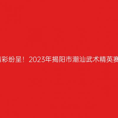 精彩纷呈！2023年揭阳市潮汕武术精英赛