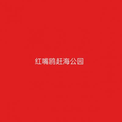 红嘴鸥赶海公园