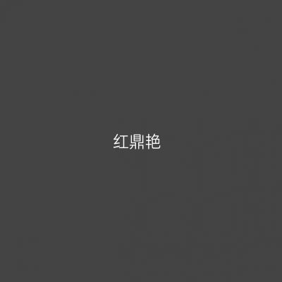 红鼎艳