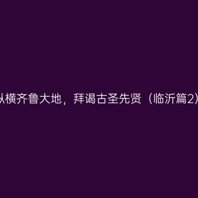 纵横齐鲁大地，拜谒古圣先贤（临沂篇2）