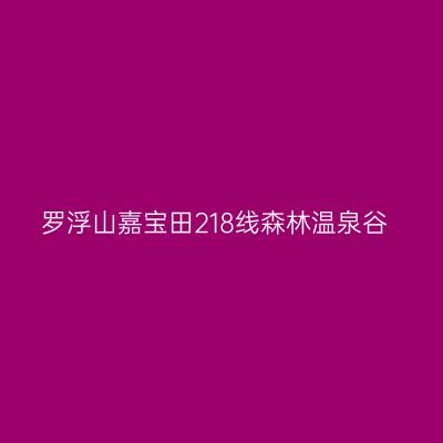 罗浮山嘉宝田218线森林温泉谷