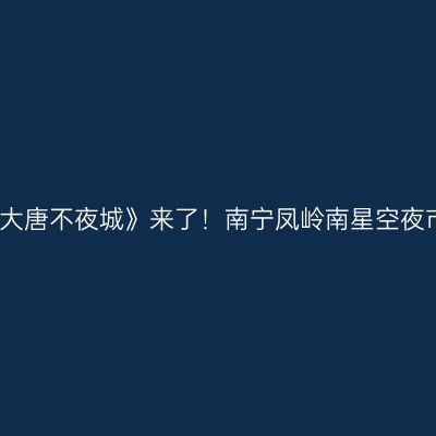 美食版《大唐不夜城》来了！南宁凤岭南星空夜市美醉了