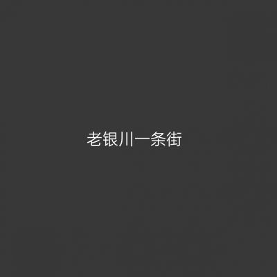 老银川一条街