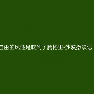 自由的风还是吹到了腾格里-沙漠撒欢记