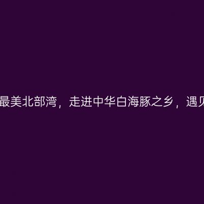 自驾广西寻找最美北部湾，走进中华白海豚之乡，遇见完美的日落