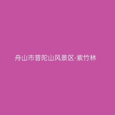 舟山市普陀山风景区-紫竹林
