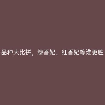 葡萄干品种大比拼，绿香妃、红香妃等谁更胜一筹？