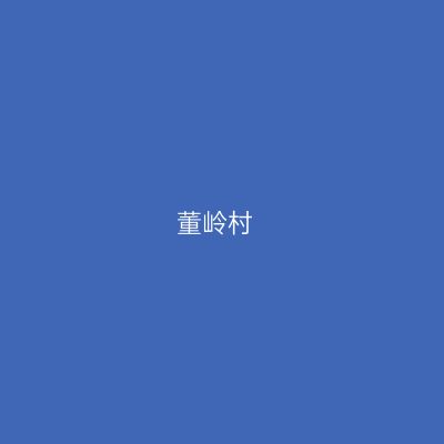 董岭村