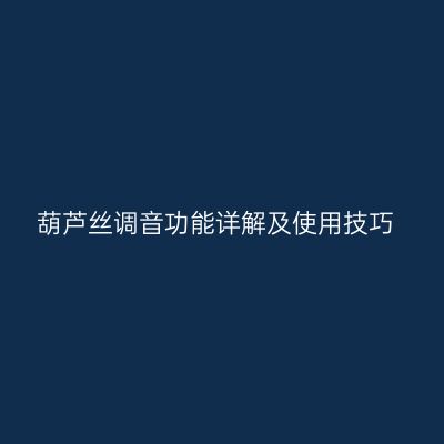 葫芦丝调音功能详解及使用技巧