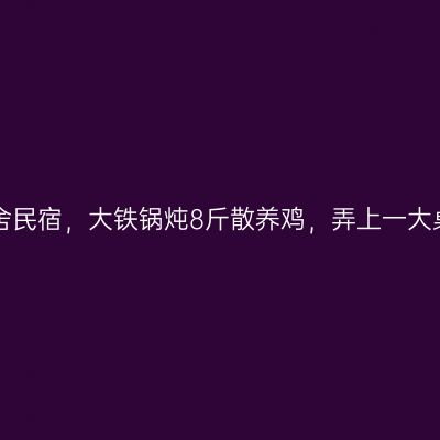 蓟县盘山九舍民宿，大铁锅炖8斤散养鸡，弄上一大桌太过瘾了！