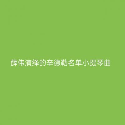 薛伟演绎的辛德勒名单小提琴曲