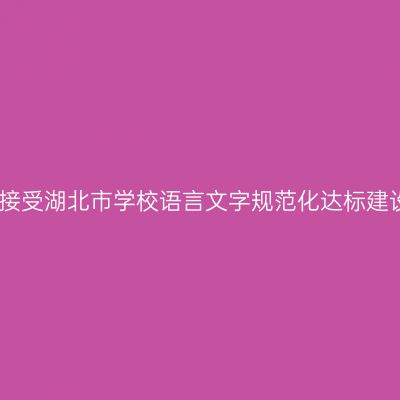 虹口区接受湖北市学校语言文字规范化达标建设检查