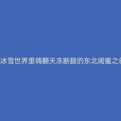行走在冰雪世界里嗨翻天冻断腿的东北闺蜜之行~~~