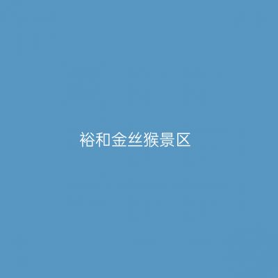 裕和金丝猴景区
