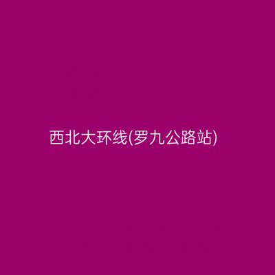 西北大环线(罗九公路站)