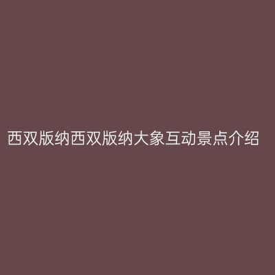 西双版纳西双版纳大象互动景点介绍