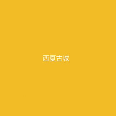 西夏古城