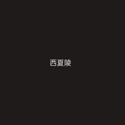 西夏陵