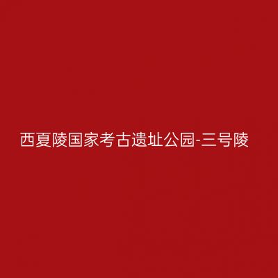 西夏陵国家考古遗址公园-三号陵