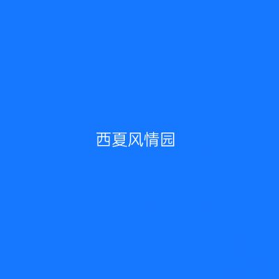 西夏风情园