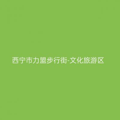 西宁市力盟步行街-文化旅游区