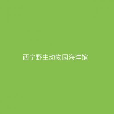 西宁野生动物园海洋馆