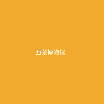西藏博物馆