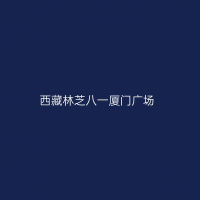 西藏林芝八一厦门广场