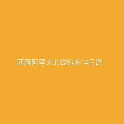 西藏阿里大北线包车14日游