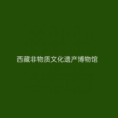 西藏非物质文化遗产博物馆