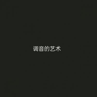 调音的艺术