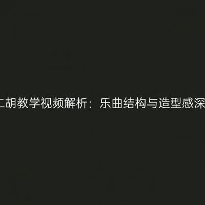 赵寒阳二胡教学视频解析：乐曲结构与造型感深入剖析