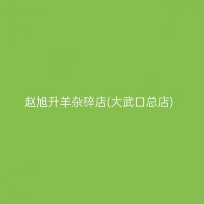 赵旭升羊杂碎店(大武口总店)