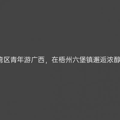 跟着湾区青年游广西，在梧州六堡镇邂逅浓醇茶韵