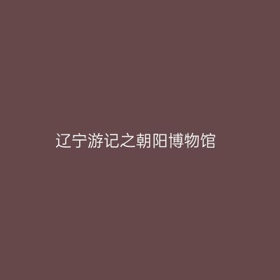 辽宁游记之朝阳博物馆