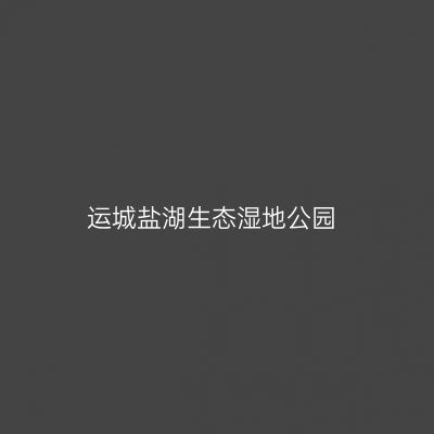 运城盐湖生态湿地公园