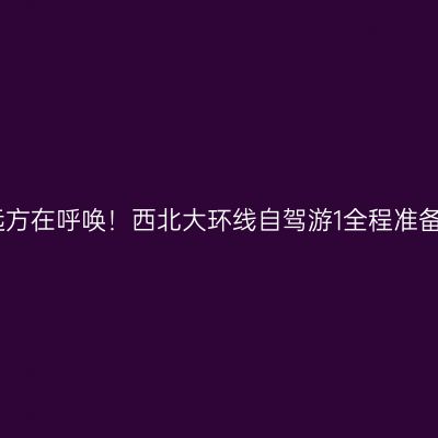 远方在呼唤！西北大环线自驾游1全程准备