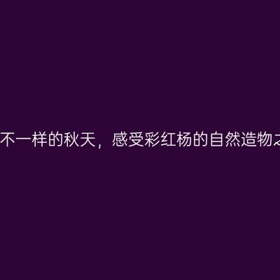邂逅不一样的秋天，感受彩红杨的自然造物之美