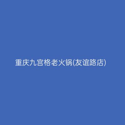 重庆九宫格老火锅(友谊路店)