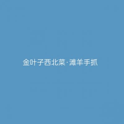 金叶子西北菜·滩羊手抓