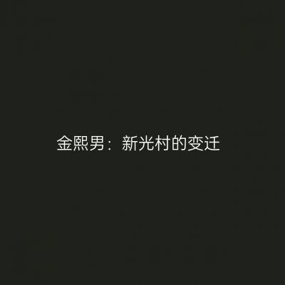 金熙男：新光村的变迁