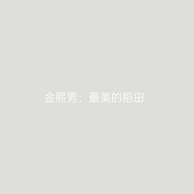 金熙男：最美的稻田