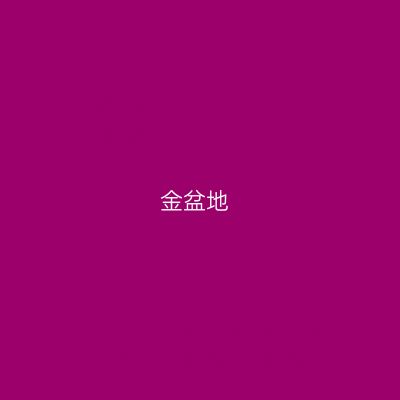 金盆地
